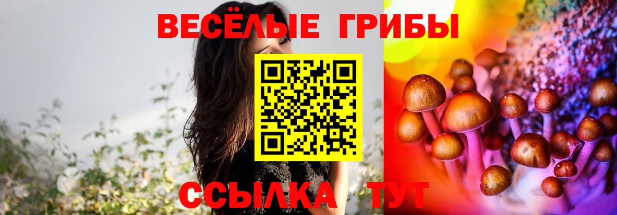 Галлюциногенные грибы ЛСД  наркошоп  Псилоцибиновые грибы GOLDEN TEACHER  Тула  Вход с VPN 